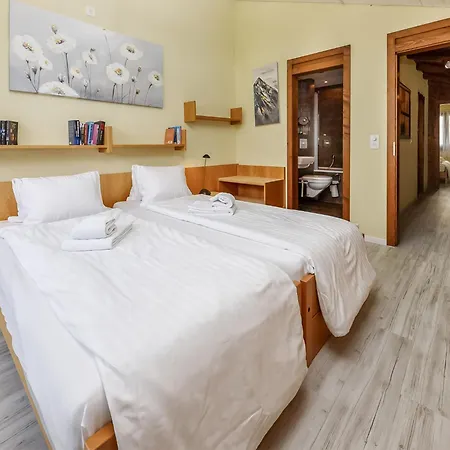 Enzian 720 By Interhome Daire