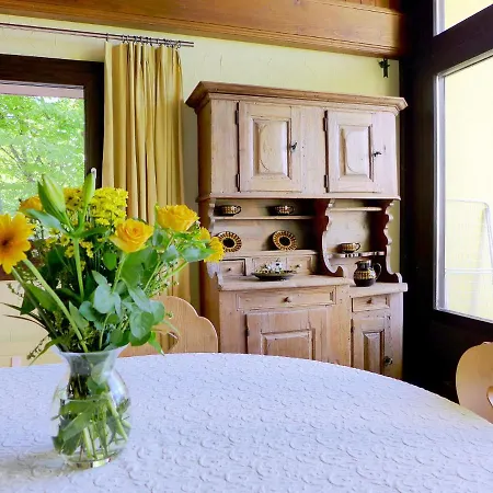 Enzian 720 By Interhome Beatenberg