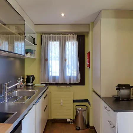 Enzian 720 By Interhome Apartment Beatenberg
